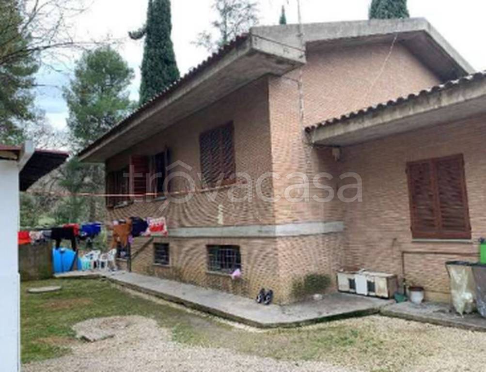 immagine annuncio 8 di 12