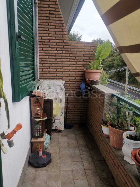 immagine annuncio 5 di 13