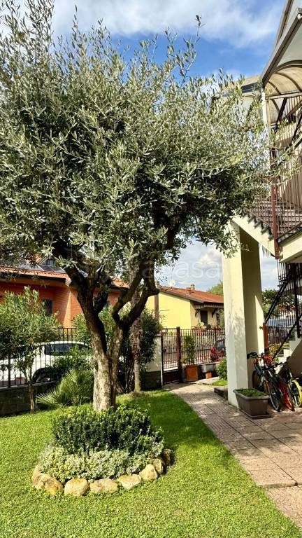 immagine annuncio 11 di 15