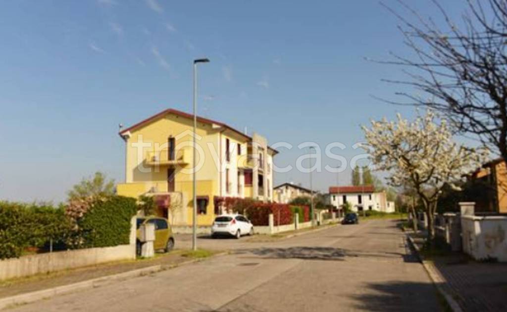 immagine annuncio 6 di 11