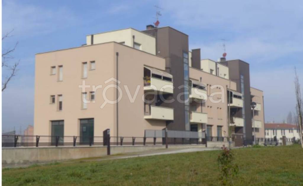 immagine annuncio 6 di 11