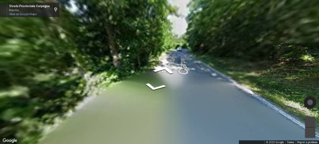 immagine annuncio 4 di 12