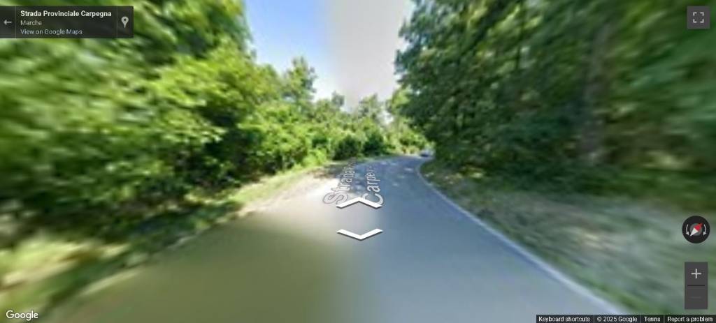 immagine annuncio 10 di 12