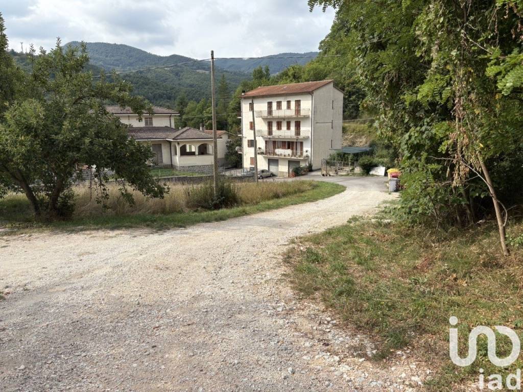 immagine annuncio 12 di 14