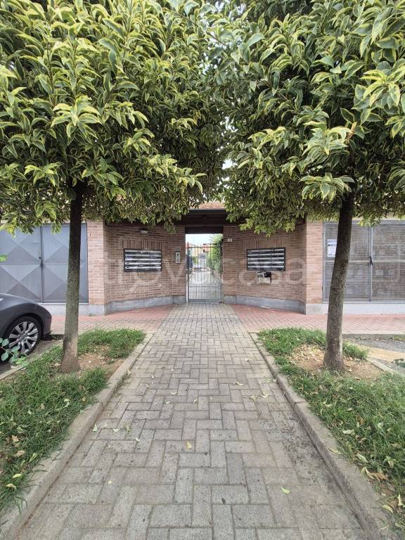 immagine annuncio 1 di 15