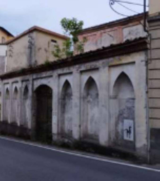 immagine annuncio 1 di 14