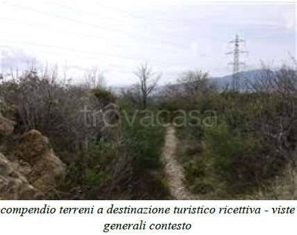 immagine annuncio 5 di 6