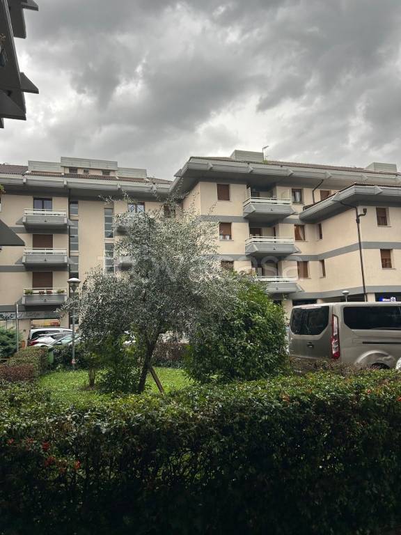 immagine annuncio 1 di 7