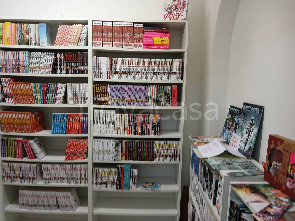 immagine annuncio 6 di 12