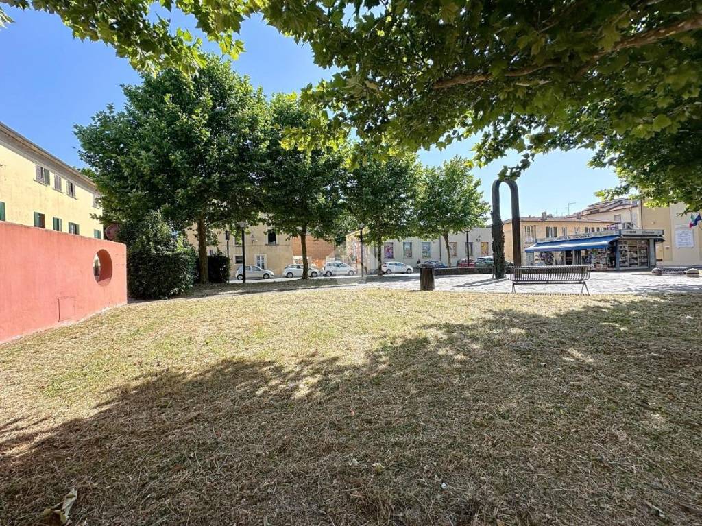 immagine annuncio 4 di 12