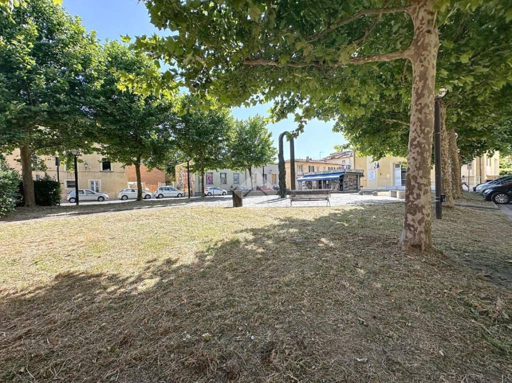 immagine annuncio 7 di 12