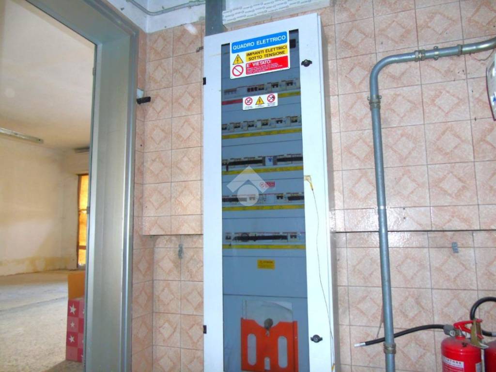 immagine annuncio 12 di 13