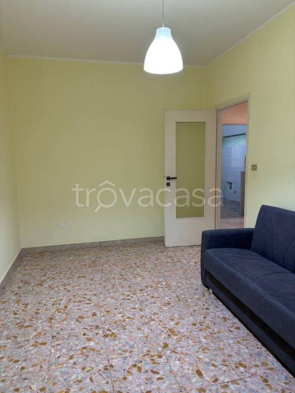 immagine annuncio 1 di 7