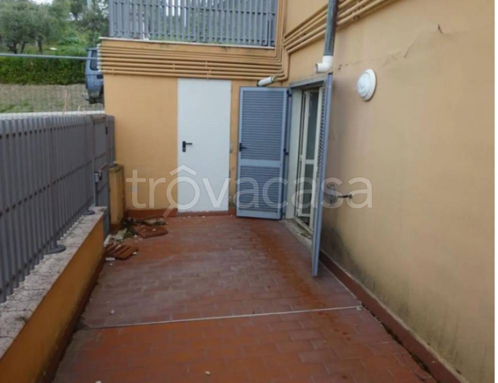 immagine annuncio 7 di 14