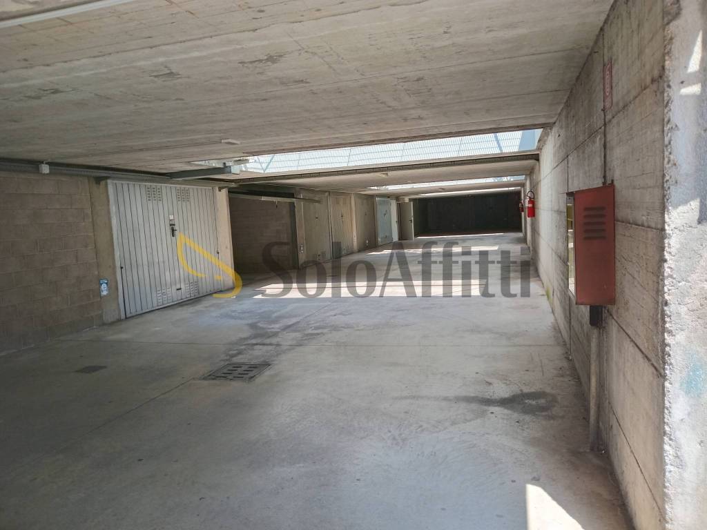 immagine annuncio 2 di 6