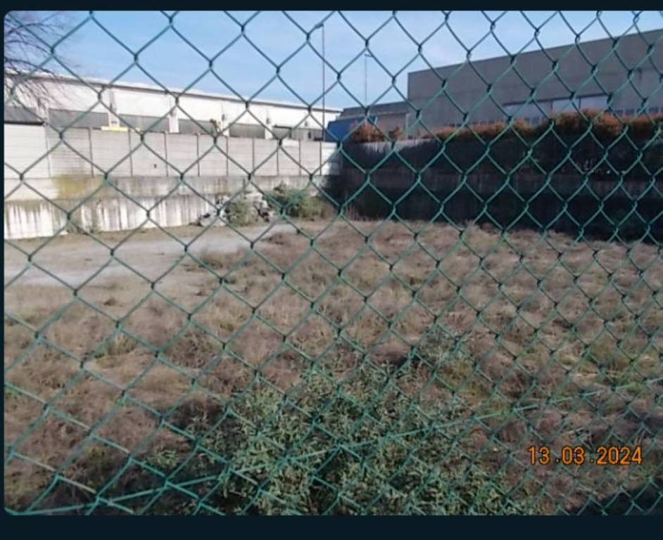 immagine annuncio 2 di 13