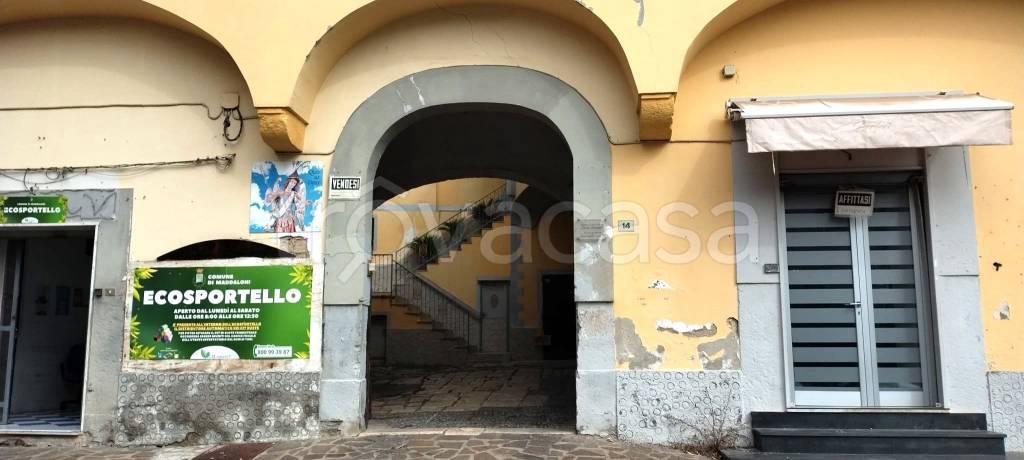 immagine annuncio 10 di 11