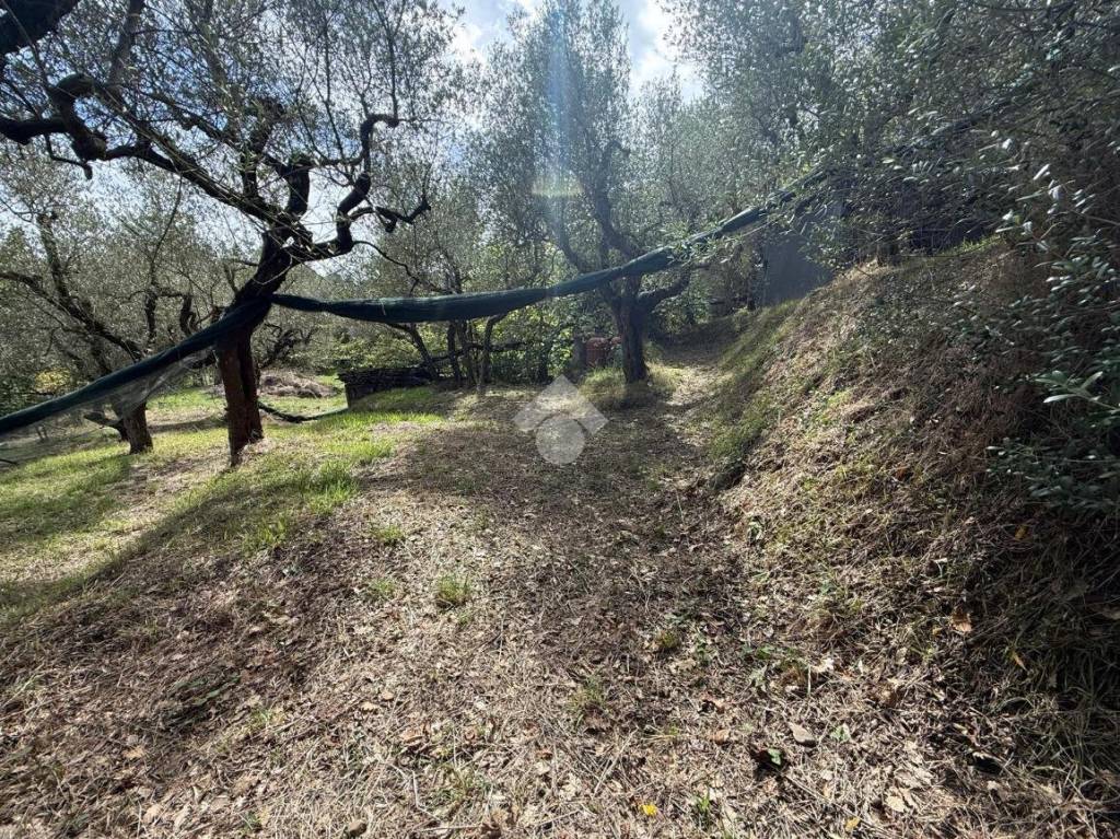 immagine annuncio 4 di 14