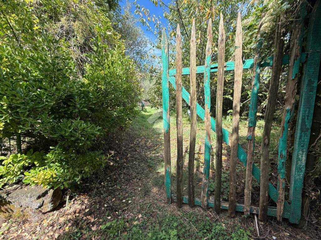 immagine annuncio 7 di 14