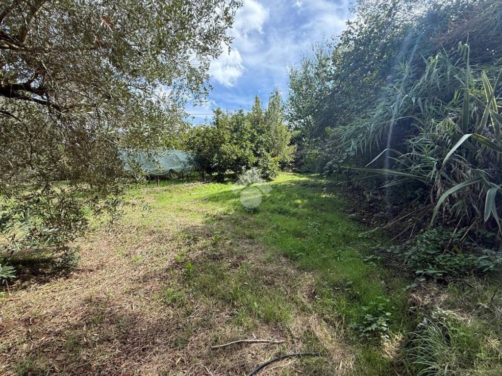 immagine annuncio 8 di 14