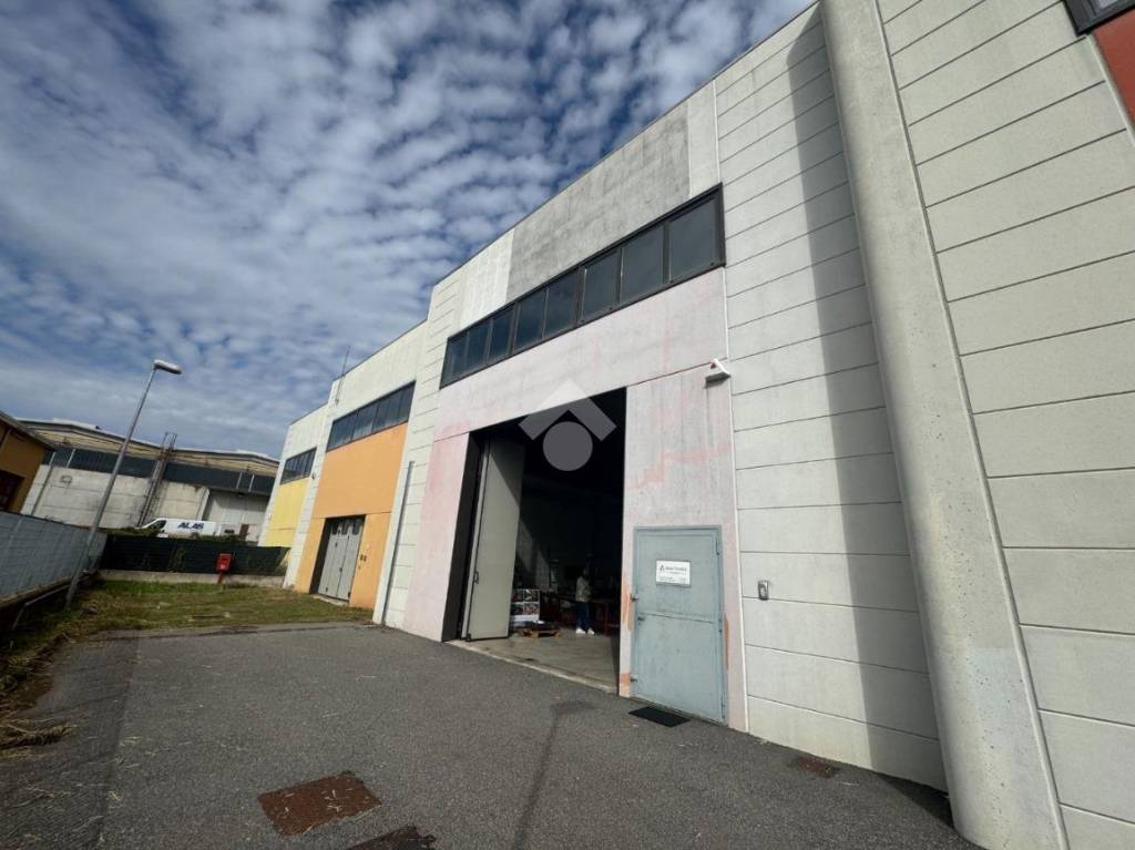 immagine annuncio 1 di 15