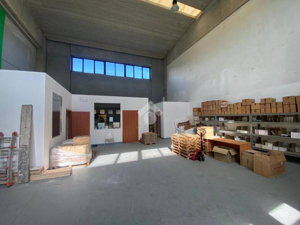 immagine annuncio 9 di 15