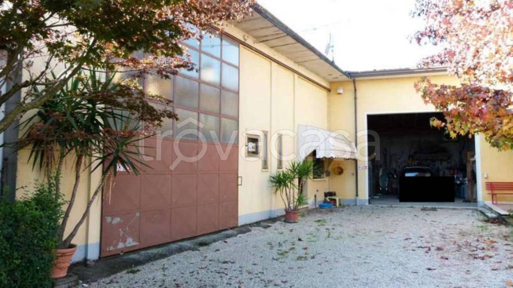 immagine annuncio 11 di 12