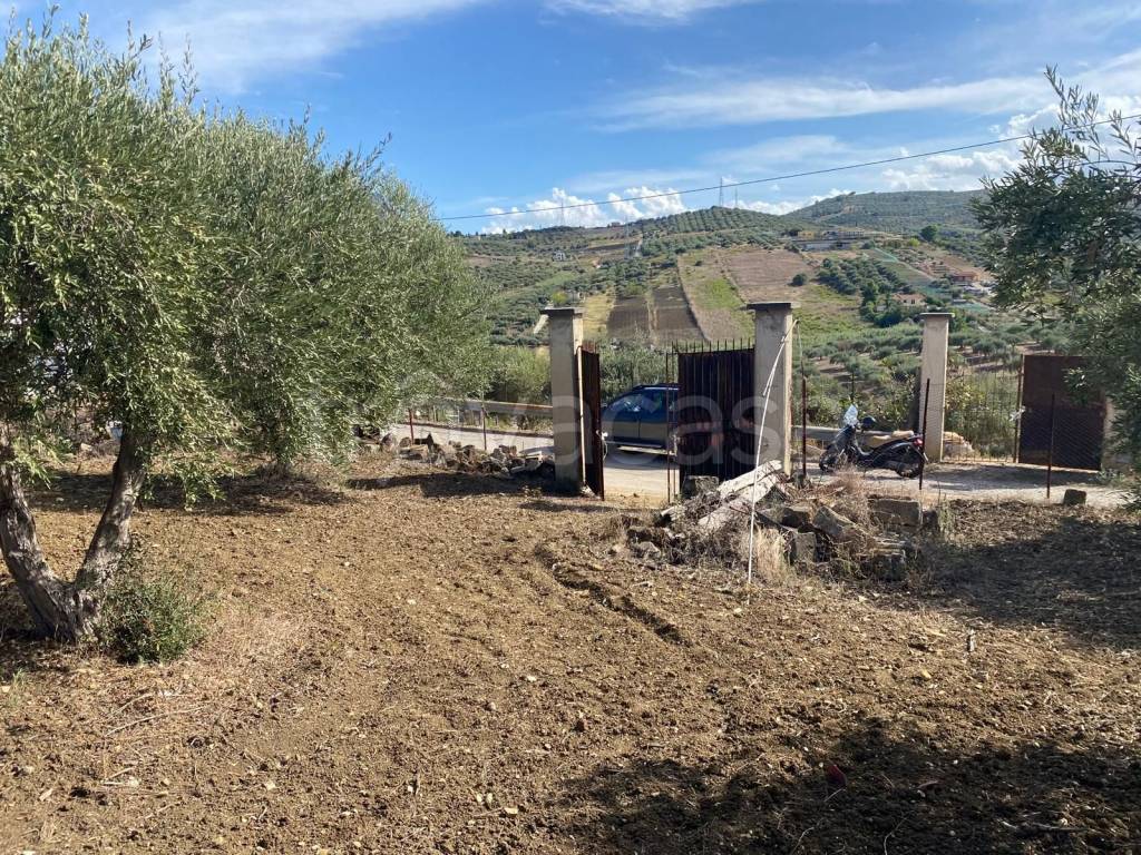 immagine annuncio 3 di 14