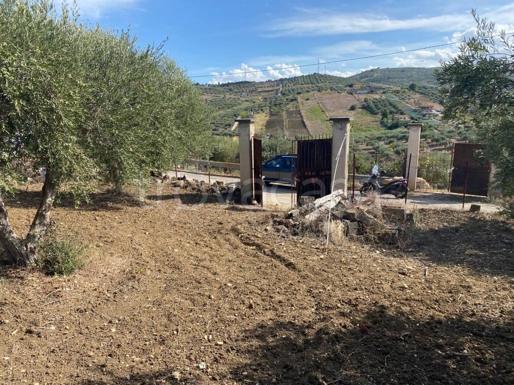 immagine annuncio 4 di 14