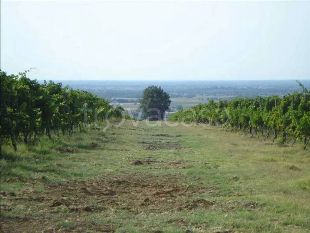 immagine annuncio 3 di 6