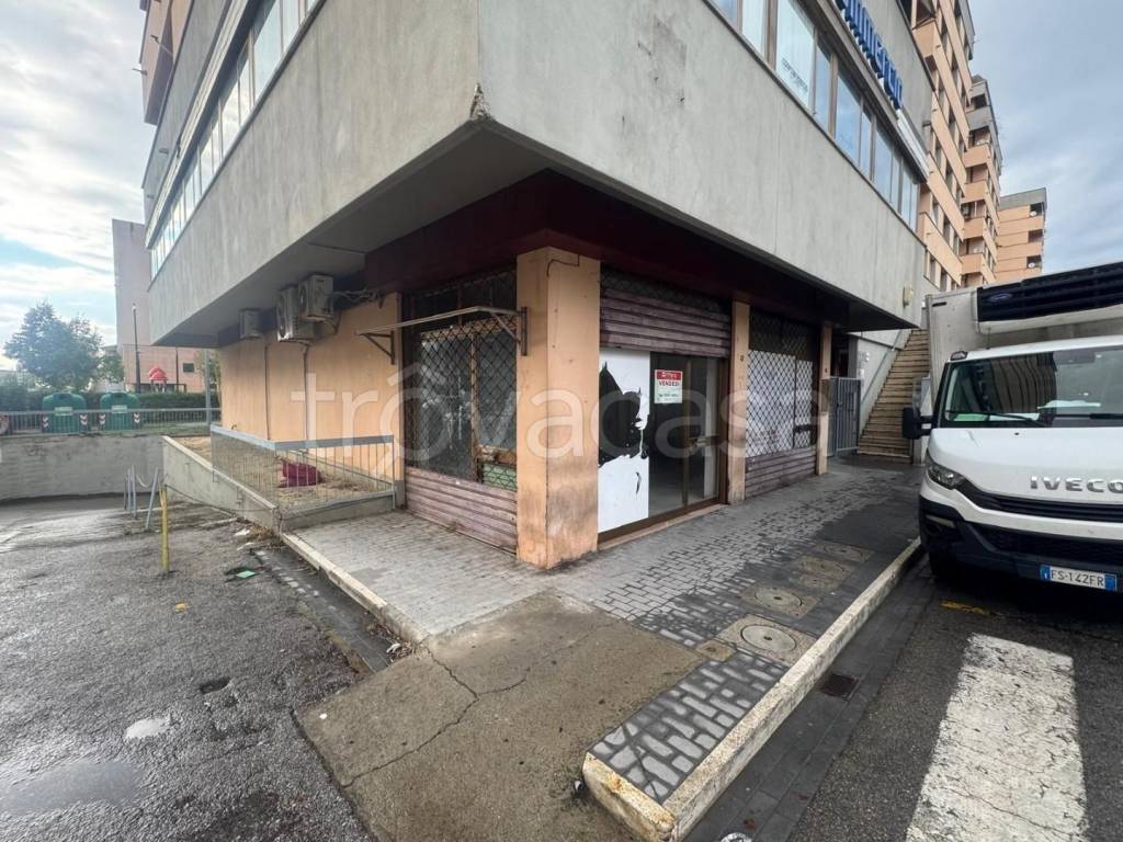 immagine annuncio 6 di 11