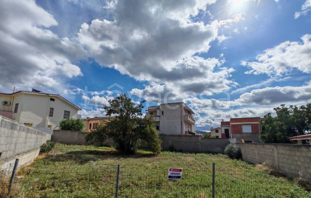 immagine annuncio 2 di 3