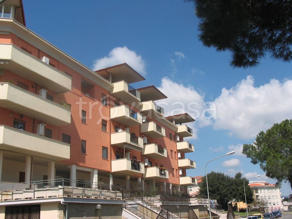 immagine annuncio 1 di 6