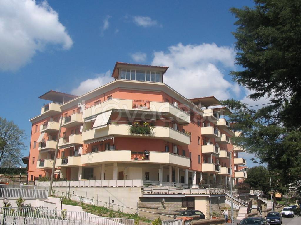 immagine annuncio 2 di 6