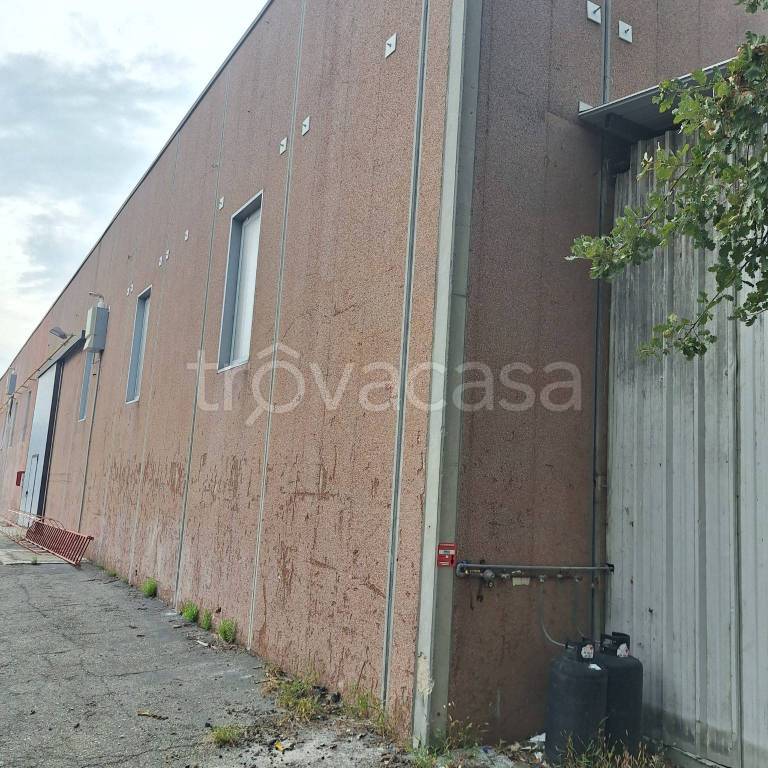 immagine annuncio 7 di 8