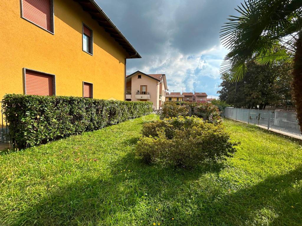 immagine annuncio 1 di 14