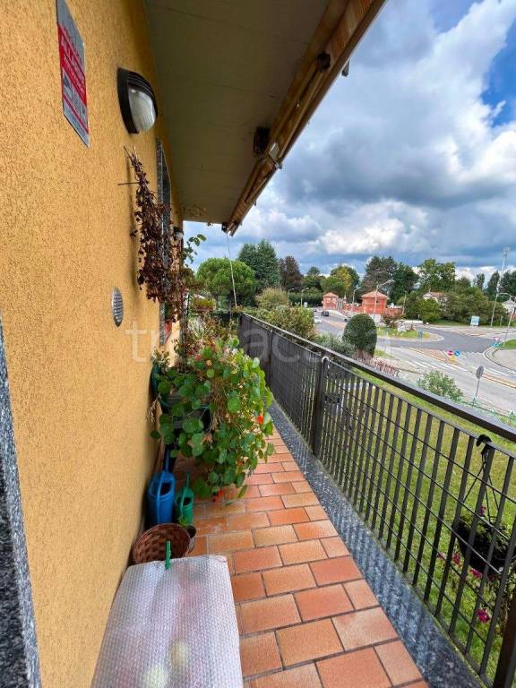 immagine annuncio 4 di 14