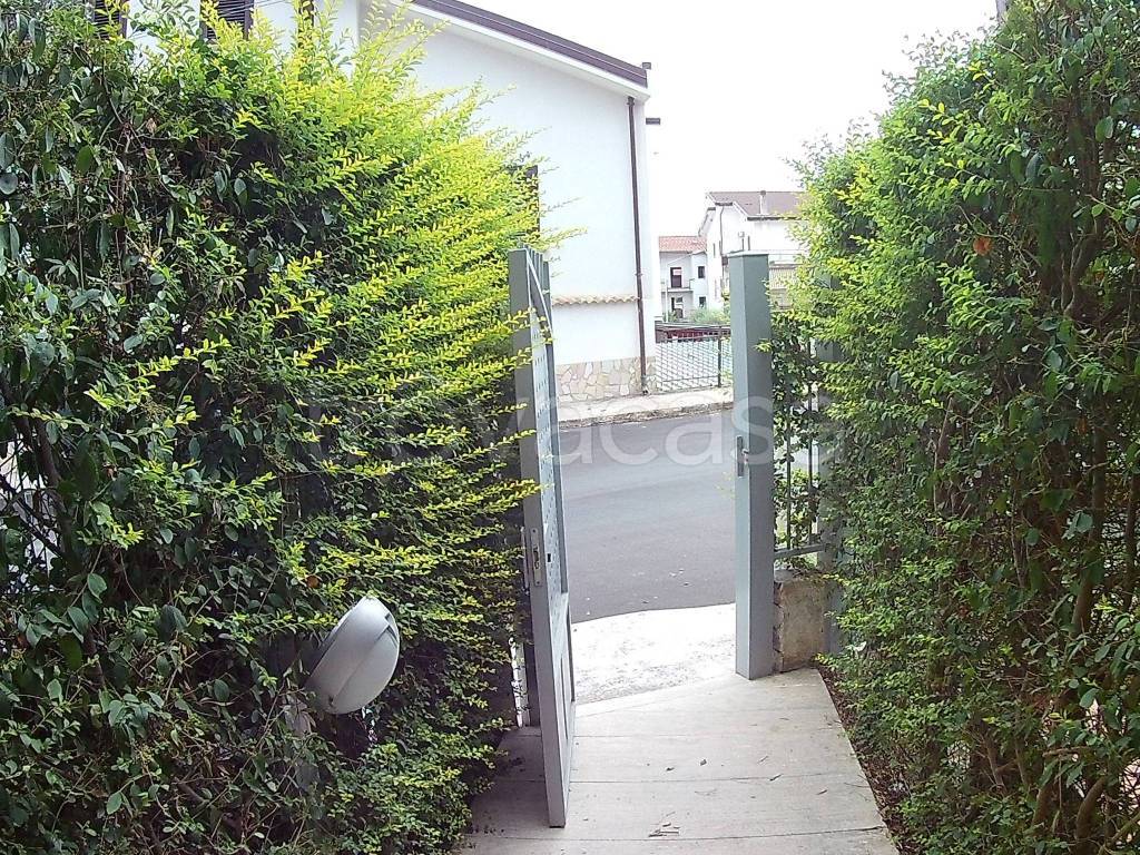 immagine annuncio 4 di 8