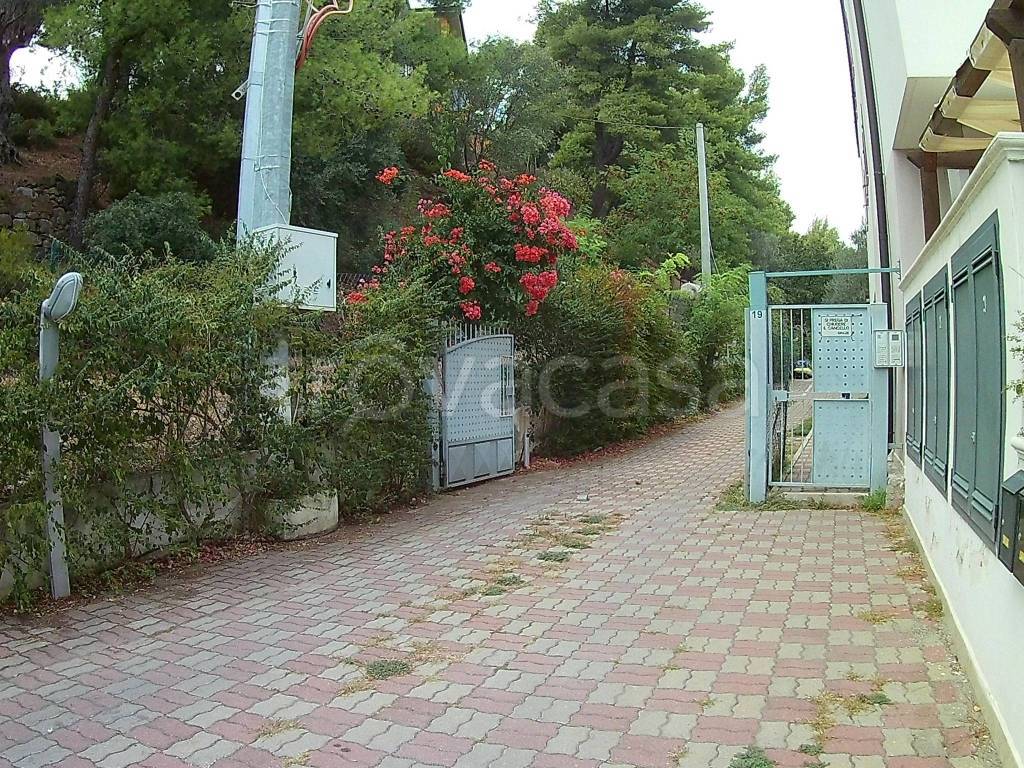 immagine annuncio 6 di 8