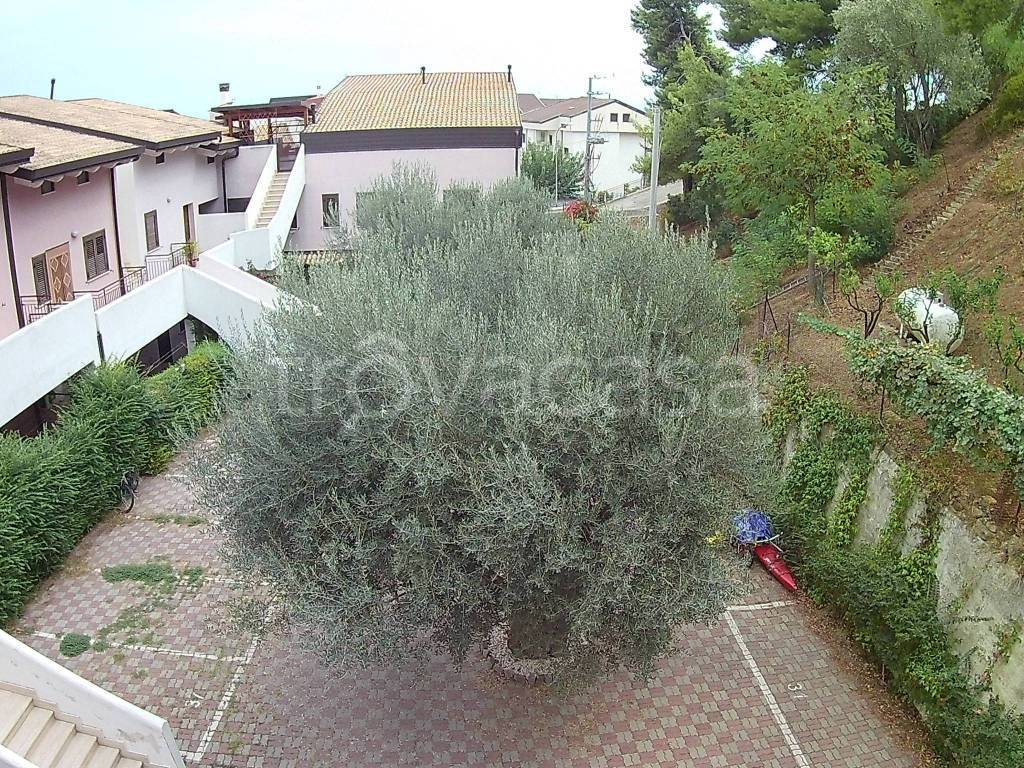 immagine annuncio 7 di 8