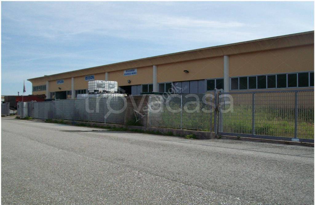 immagine annuncio 2 di 8