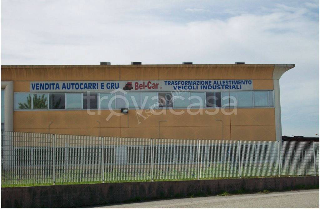 immagine annuncio 7 di 8