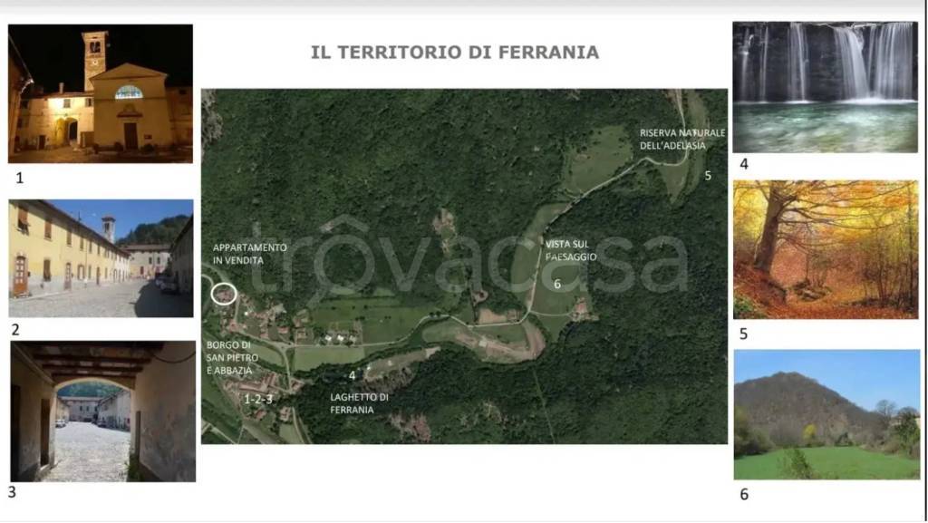 immagine annuncio 4 di 14