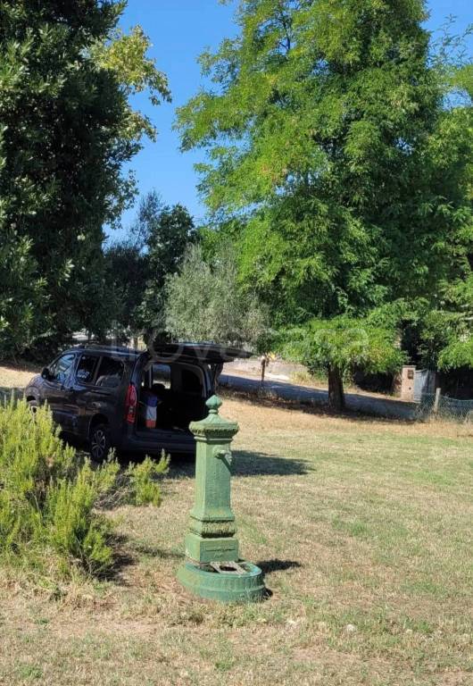 immagine annuncio 7 di 13