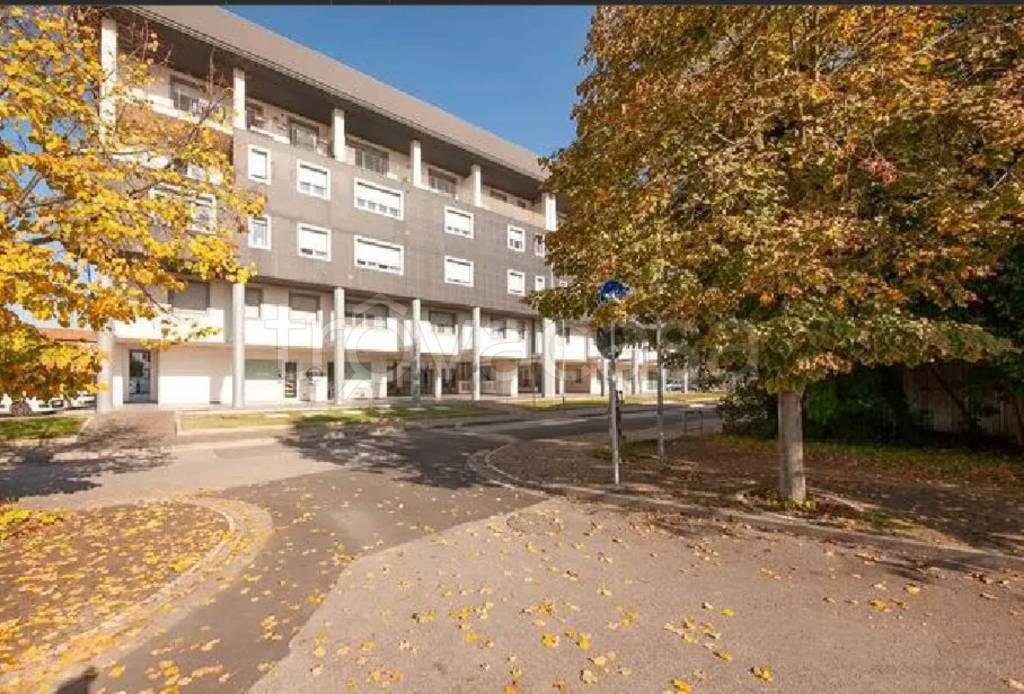 immagine annuncio 3 di 6