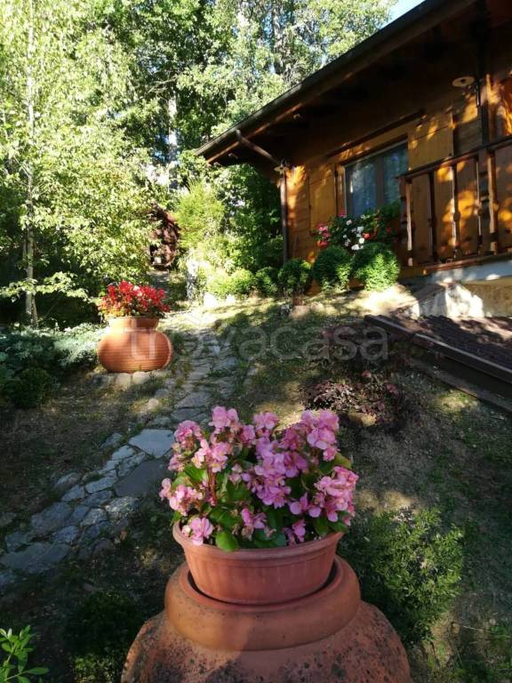 immagine annuncio 9 di 15