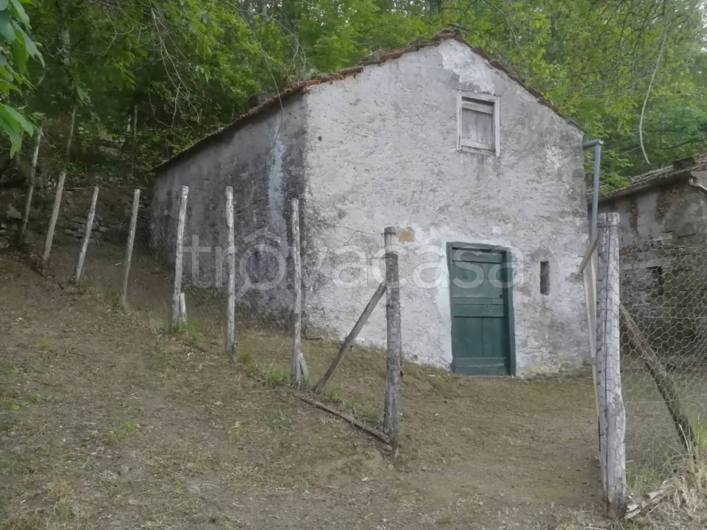 immagine annuncio 9 di 14