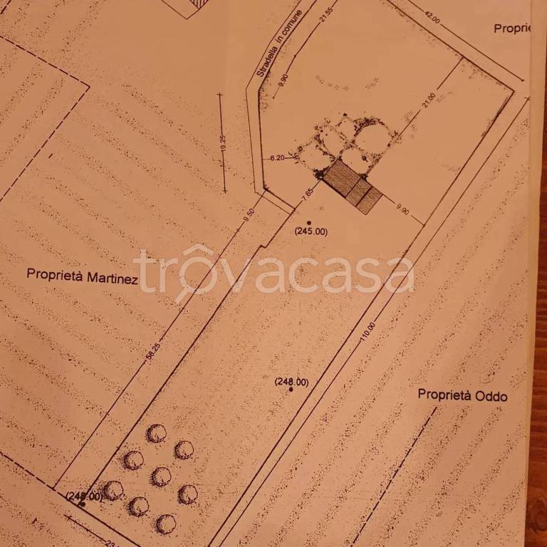 immagine annuncio 6 di 14