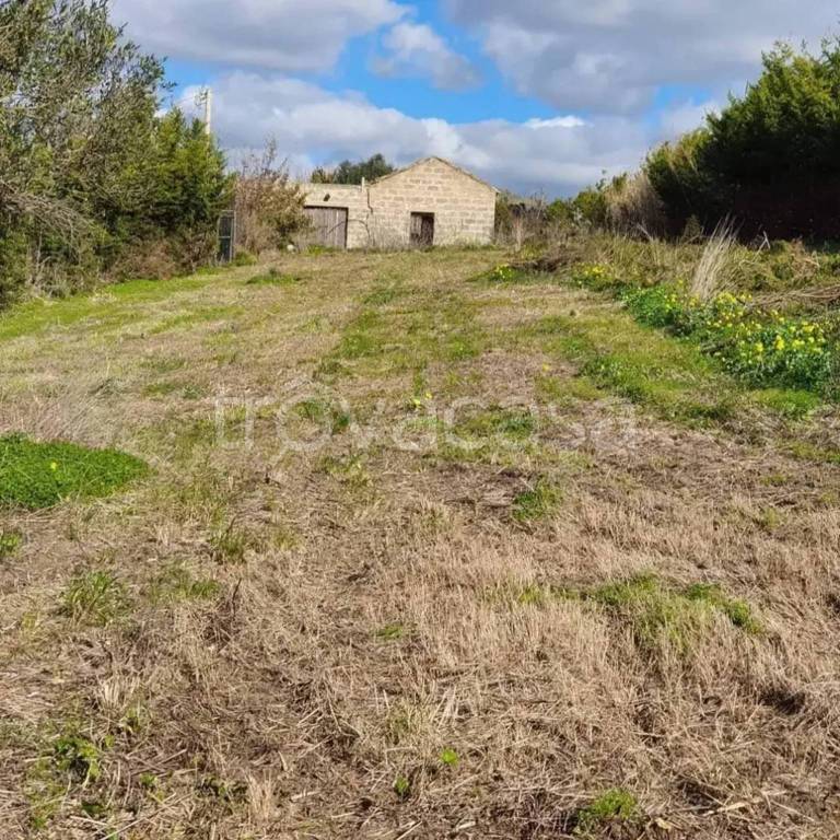 immagine annuncio 7 di 14