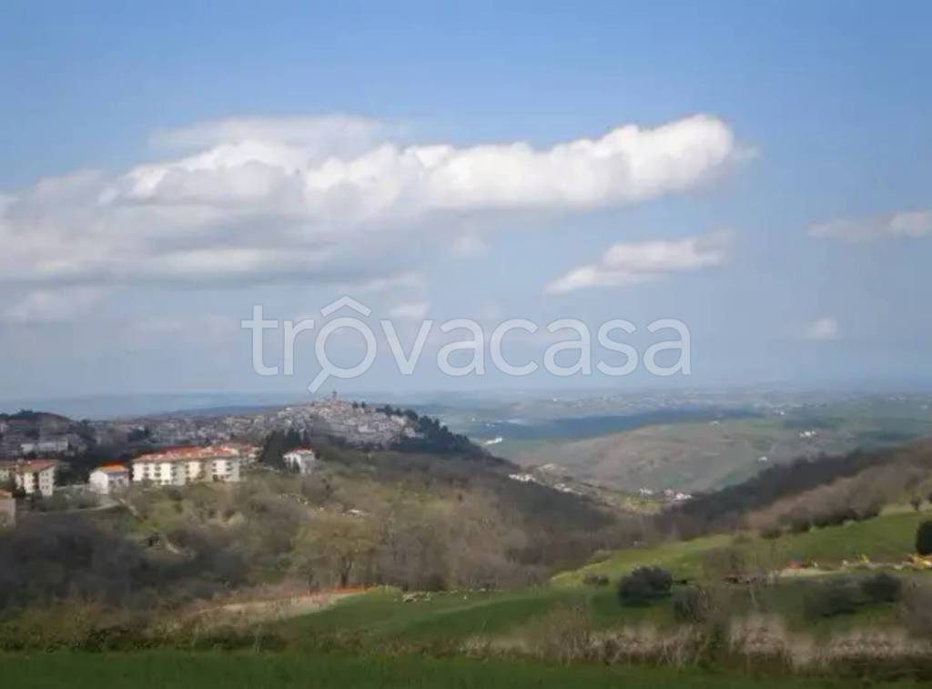 immagine annuncio 4 di 7